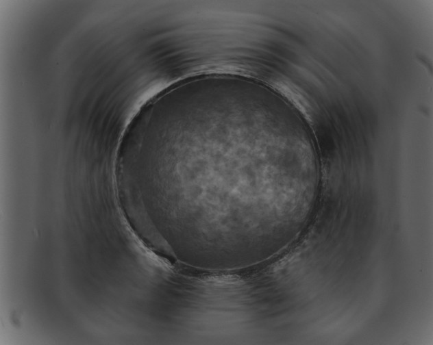 X0000091911133200709191315