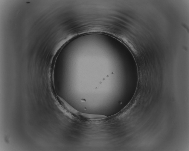 X0000091911134200709191315