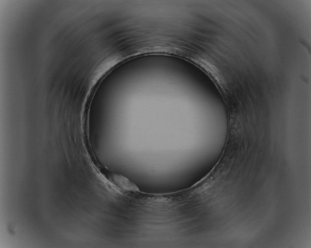 X0000091911135200709191315