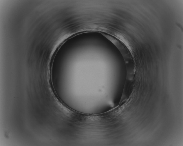 X0000091911136200709191315