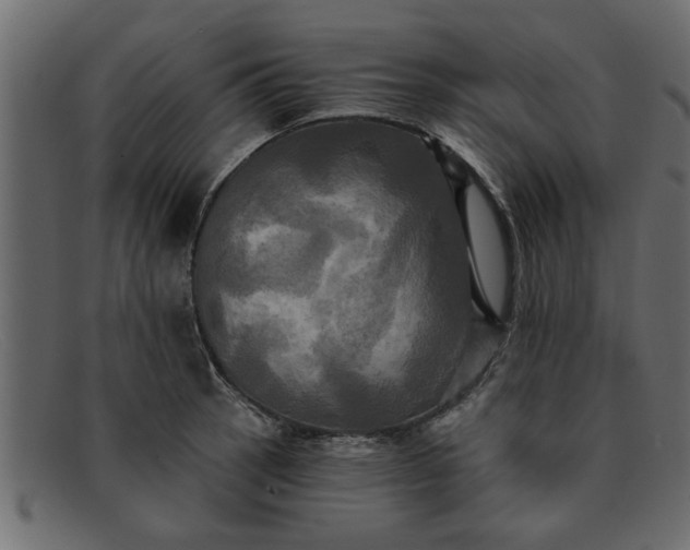 X0000091911137200709191315