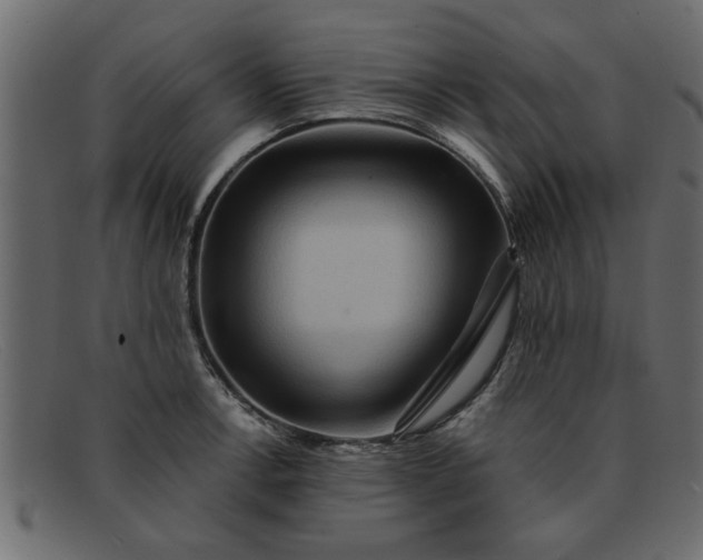 X0000091911138200709191315