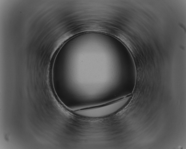 X0000091911139200709191315