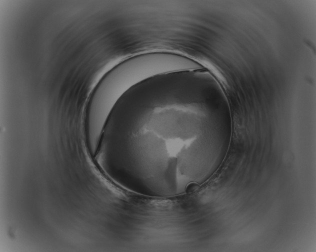 X0000091911142200709191315