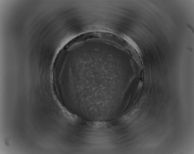 X0000091911144200709191315