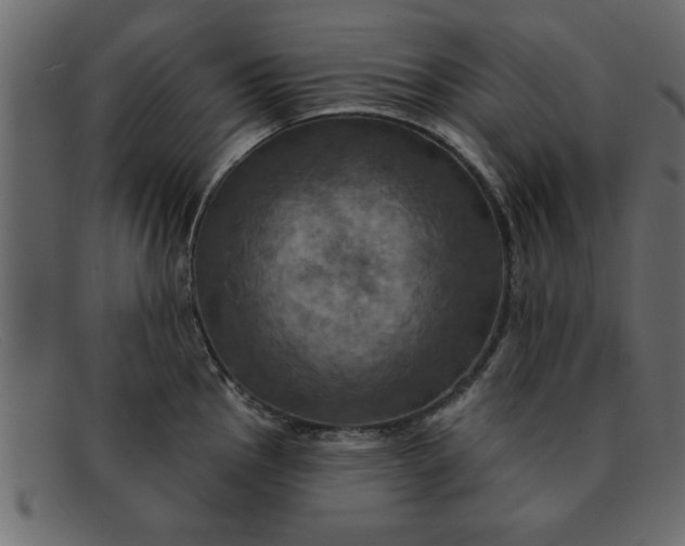 X0000091911145200709191315