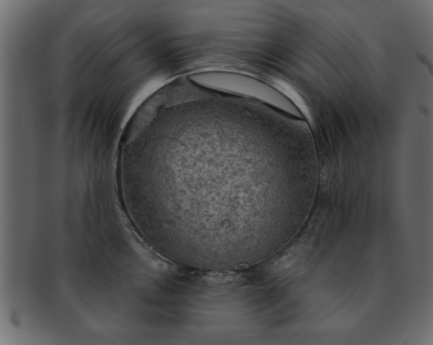 X0000091911146200709191315