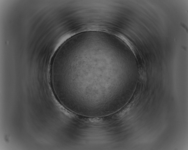 X0000091911147200709191315