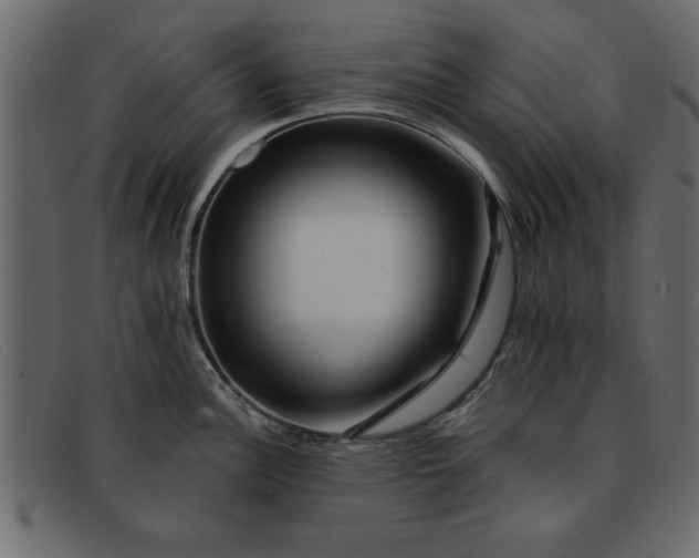 X0000091911148200709191315