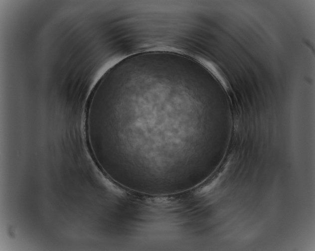 X0000091911149200709191315