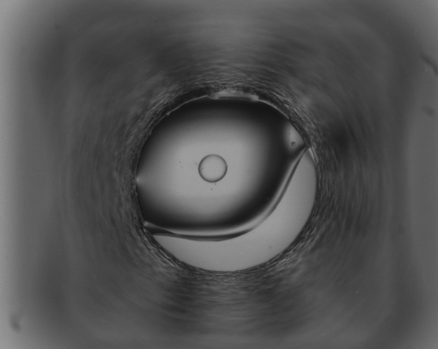 X0000091911153200709191314