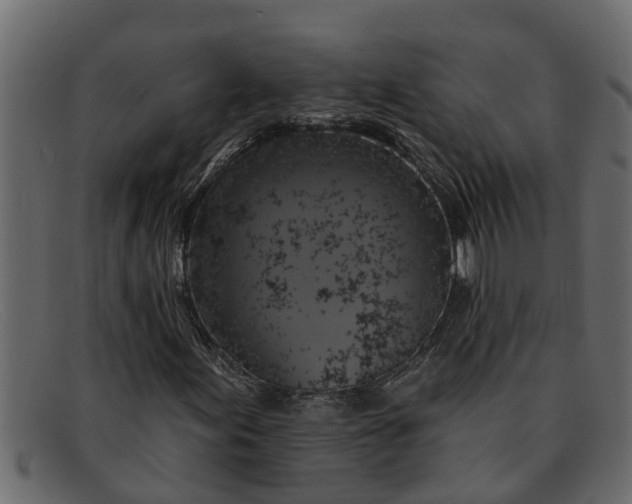 X0000091911155200709191314