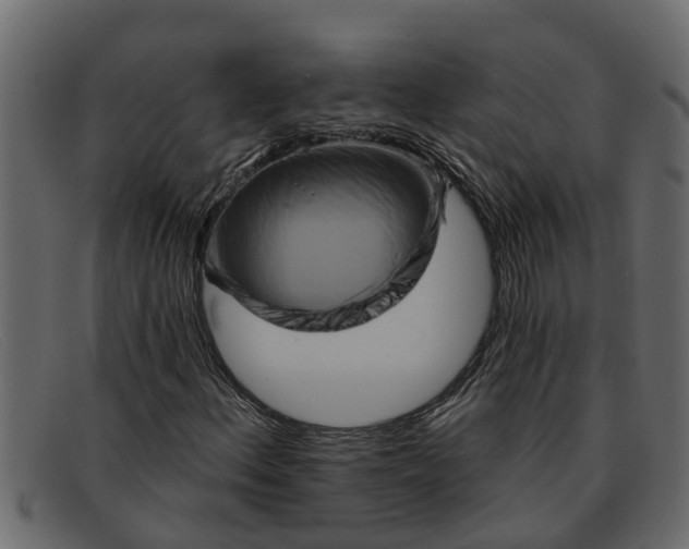 X0000091911156200709191314