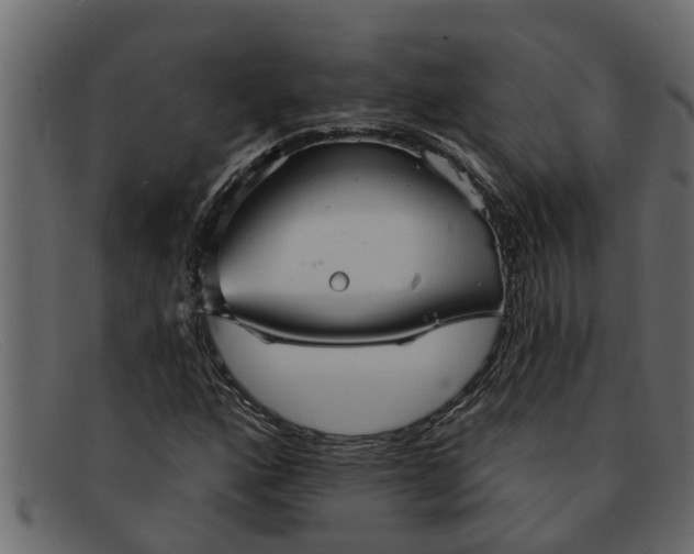 X0000091911160200709191314