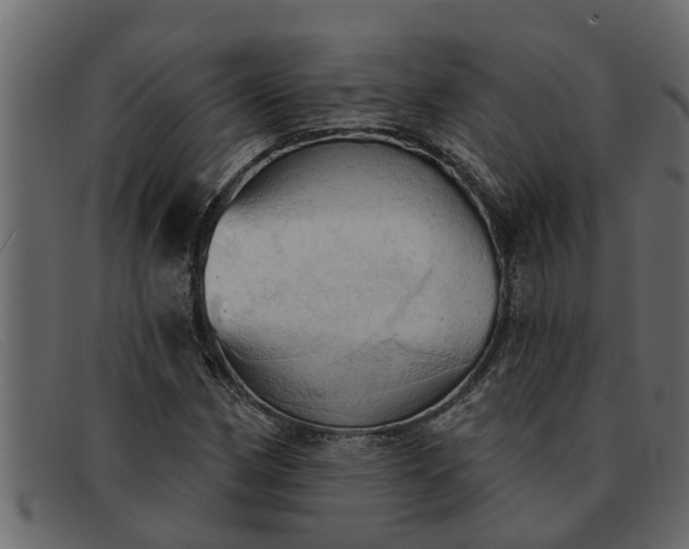 X0000091911162200709191314