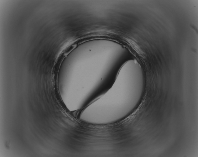 X0000091911164200709191314