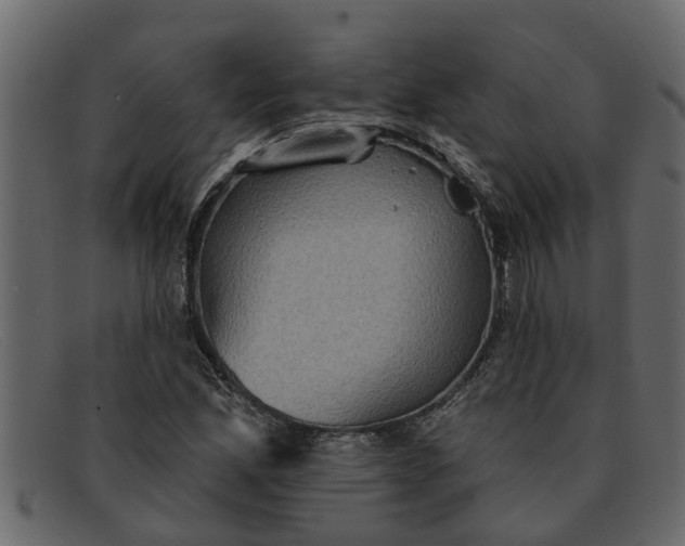 X0000091911165200709191314