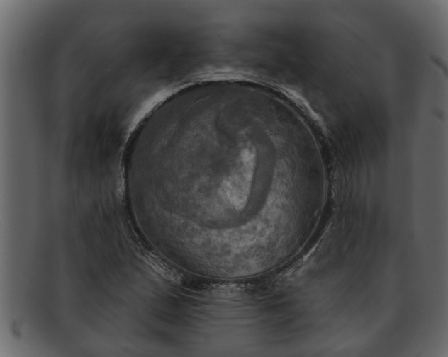 X0000091911167200709191314