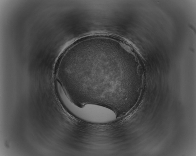 X0000091911168200709191314