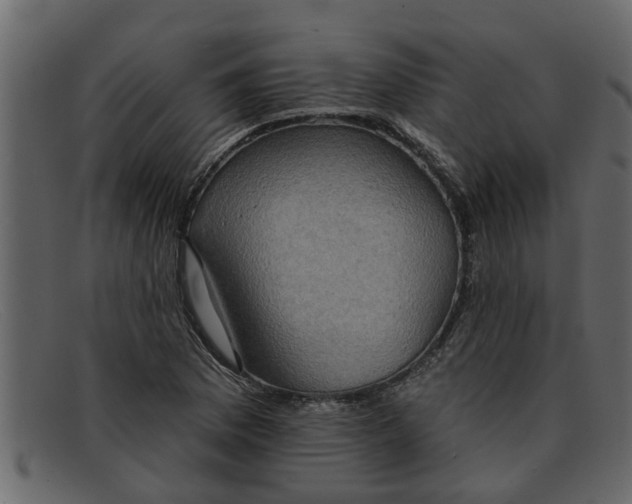 X0000091911169200709191314