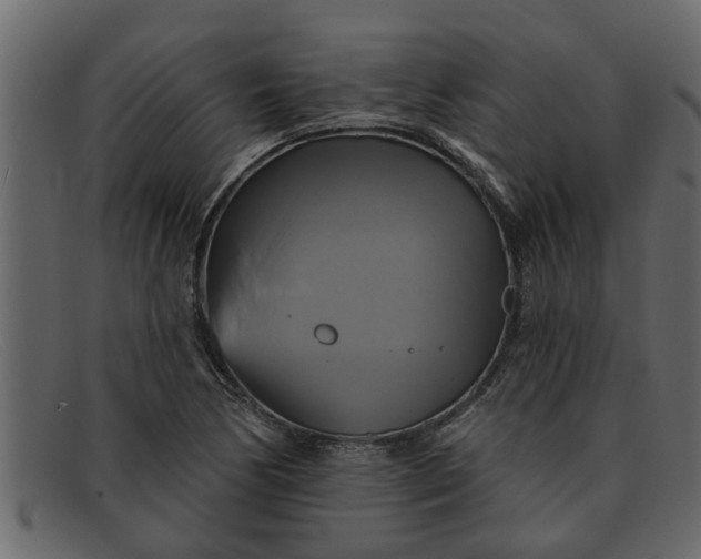 X0000091911170200709191314