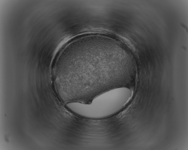 X0000091911172200709191314