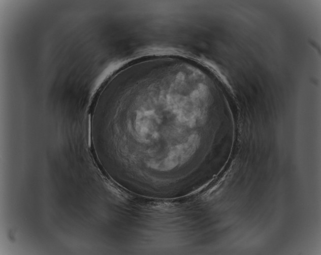 X0000091911175200709191314