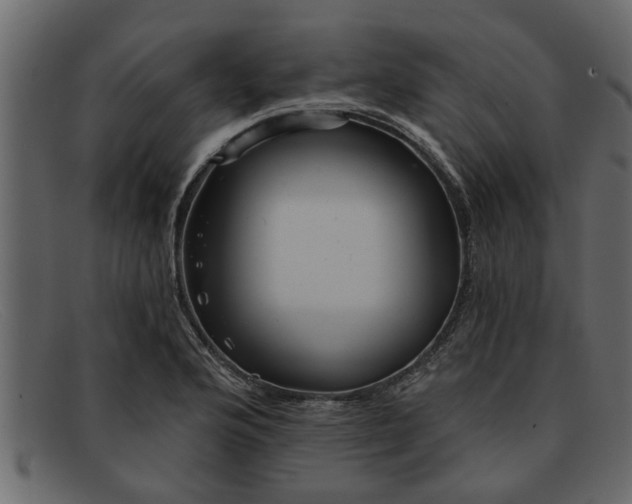 X0000091911176200709191314