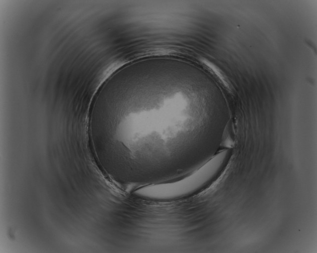 X0000091911178200709191314