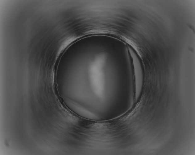 X0000091911179200709191314