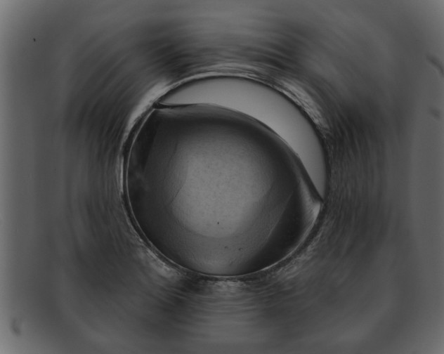 X0000091911180200709191314