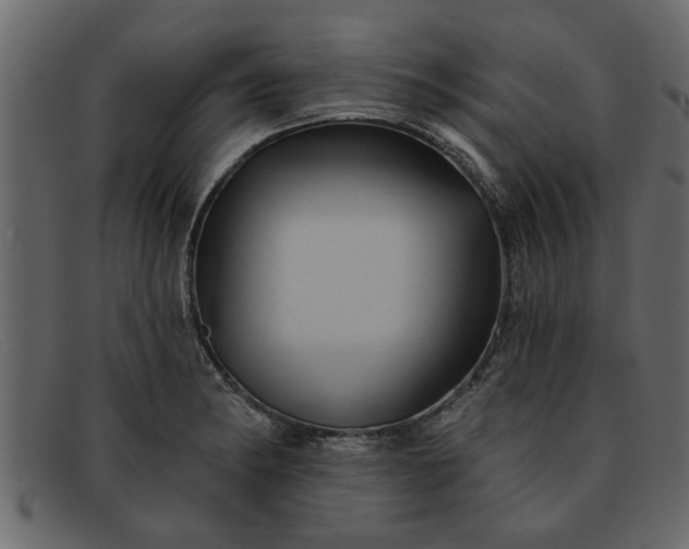 X0000091911182200709191314