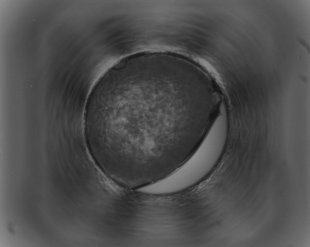 X0000091911183200709191314