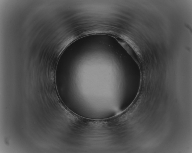 X0000091911185200709191314