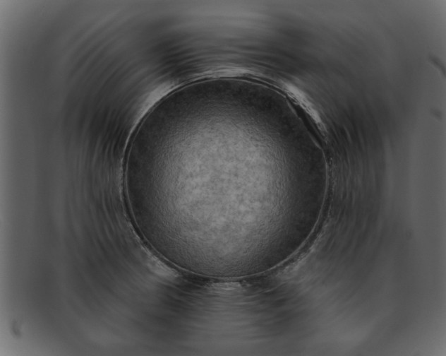 X0000091911186200709191314