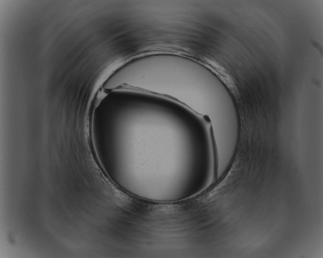 X0000091911188200709191314