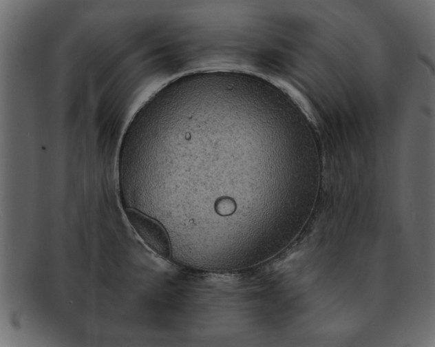 X0000091911191200709191314