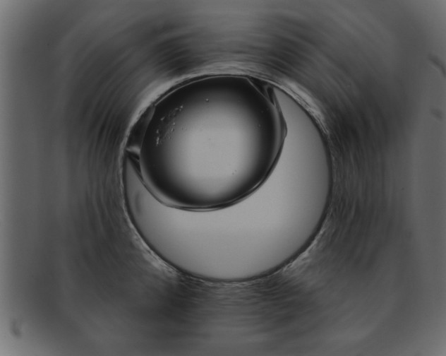 X0000091911192200709191314