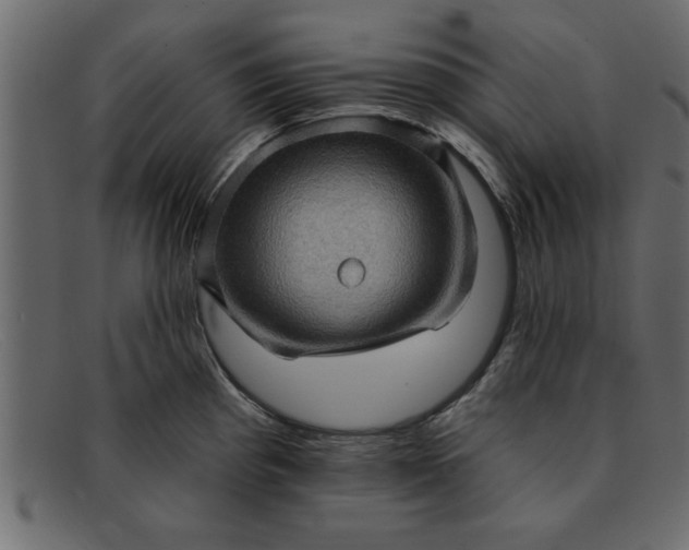 X0000091911193200709191314