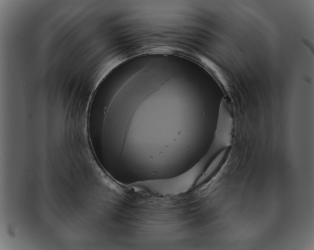 X0000091911194200709191314