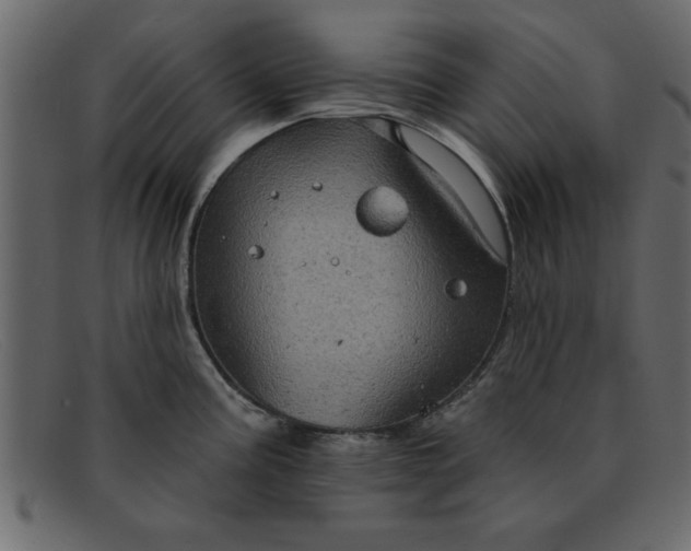 X0000091911195200709191314