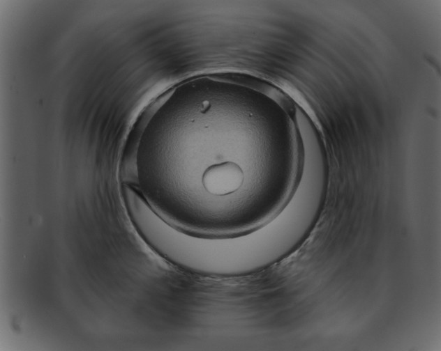 X0000091911197200709191314