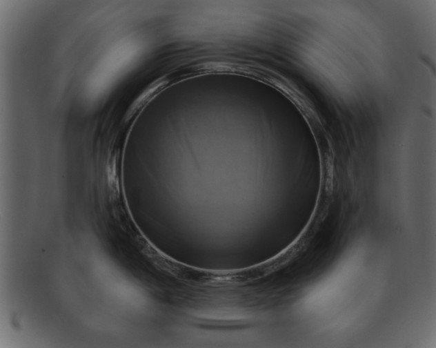 X0000091911198200709191314