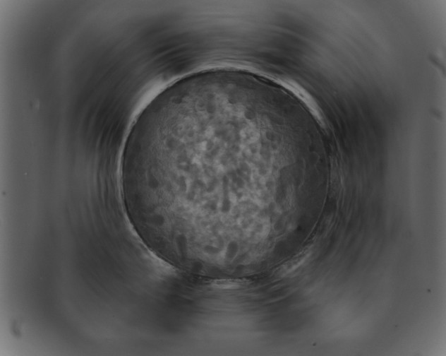 X0000091911199200709191314