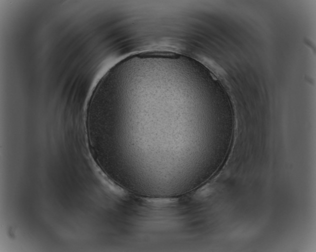 X0000091911200200709191314