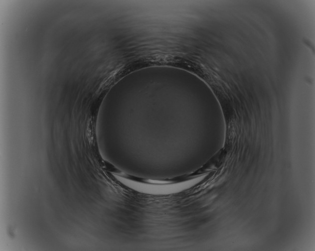 X0000091911202200709191313