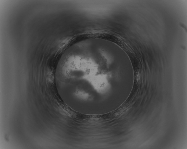 X0000091911204200709191313