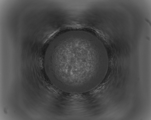 X0000091911205200709191313