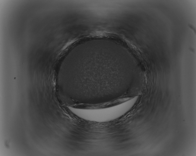 X0000091911206200709191313