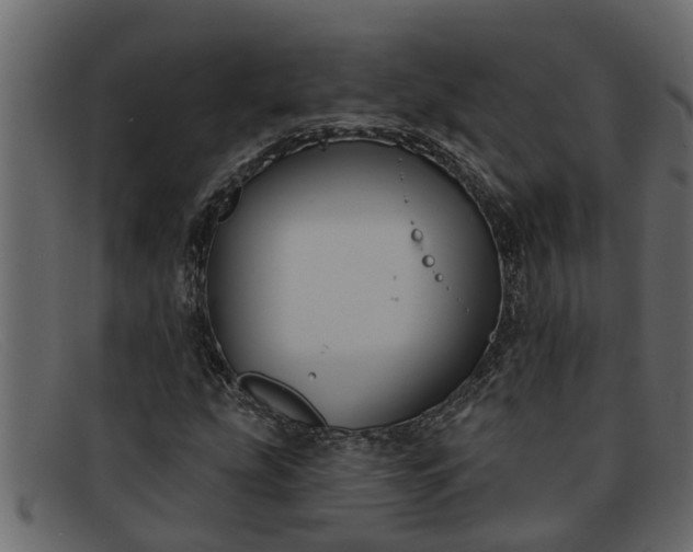 X0000091911207200709191313